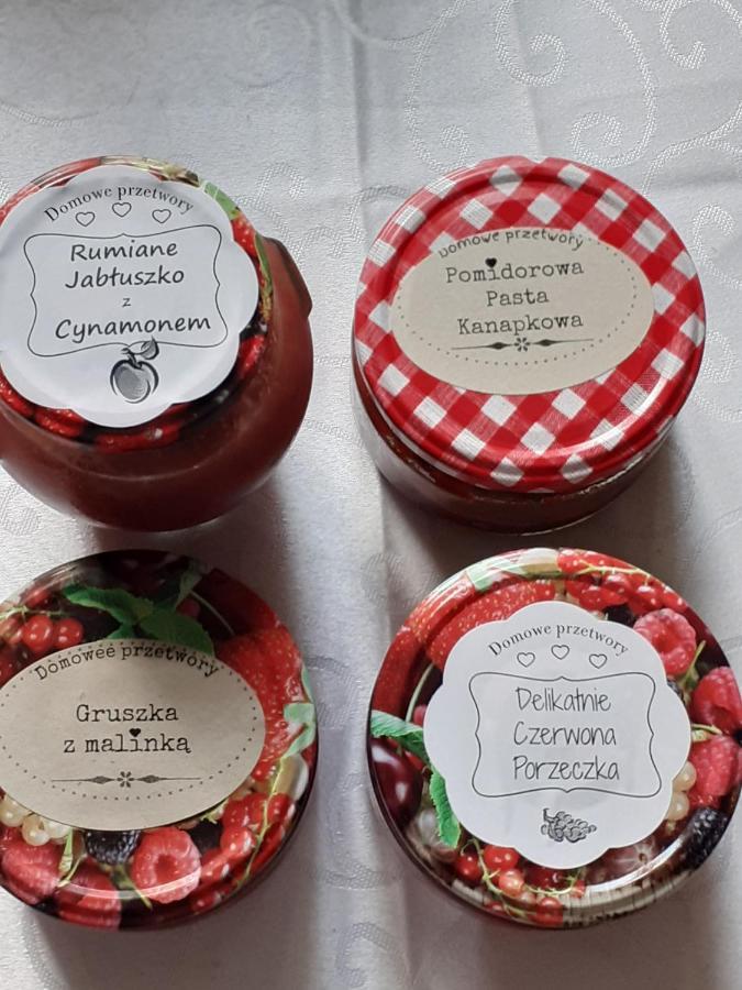 Agroturystyka Nasza Bajka Pieniezno Εξωτερικό φωτογραφία